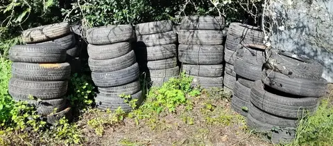 Donne environ 50 pneus VL