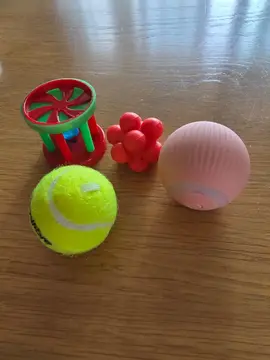 lot de petits jeux pour chat