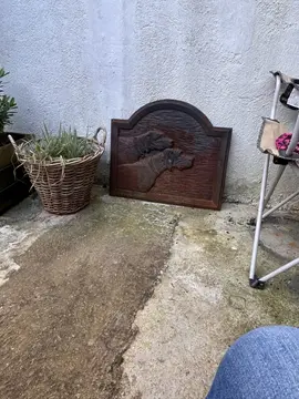 donne plante + plaque de cheminé