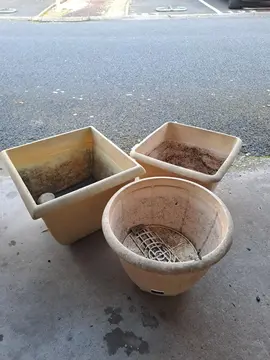 Lot de pots de fleurs