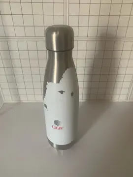 bouteille isotherme 0,5 litre en métal