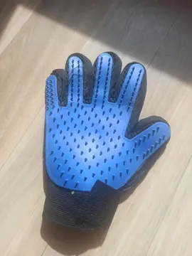 gant grattage animaux