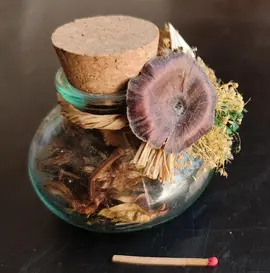 Déco bouteille en verre