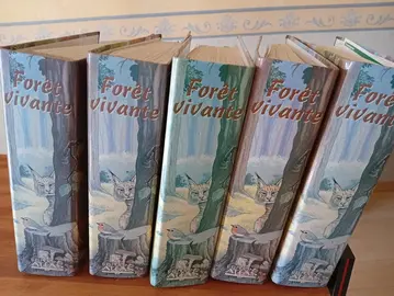 Classeurs forêt vivante