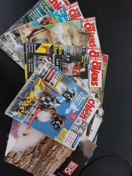 lot magazines chiens et posters