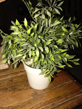 plante verte artificielle