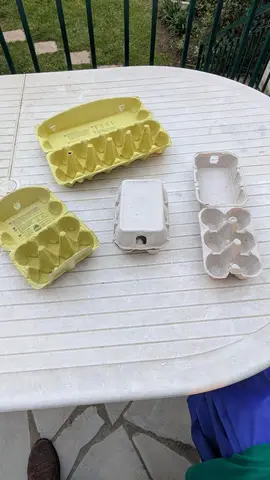 100 boîtes-alvéoles d'oeufs