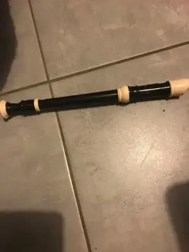 flûte à bec
