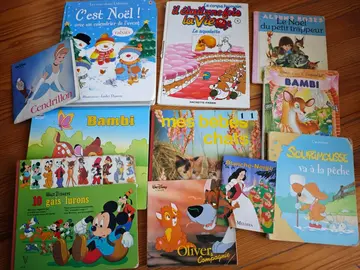 Lot de livres enfants – (état usagé / abîmé)