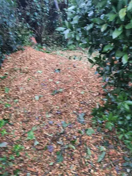 Paillage pour culture