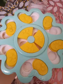 jeux de fouille pour chien/chat