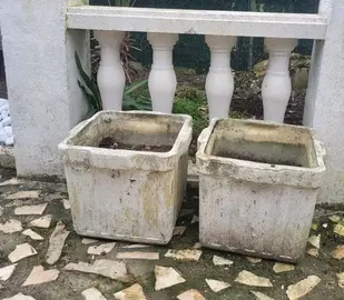 donne 2 pots de fleurs à repeindre