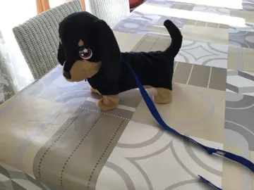 chien en peluche waggles