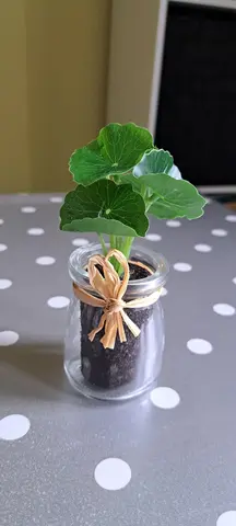 Petite plante artificielle