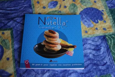 petit livre de recettes "Nutella"