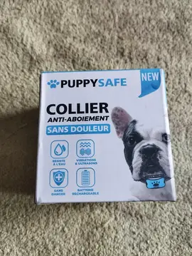 collier anti aboiement