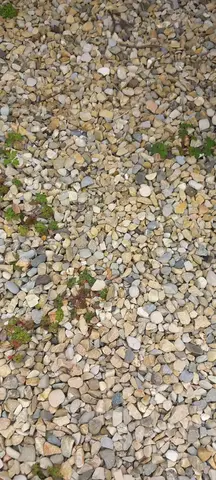 gravier