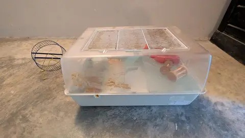 donne cage à hamster avec accessoires