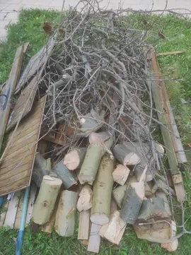 Branches et morceaux de bois