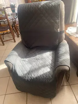 Fauteuil releveur electrique