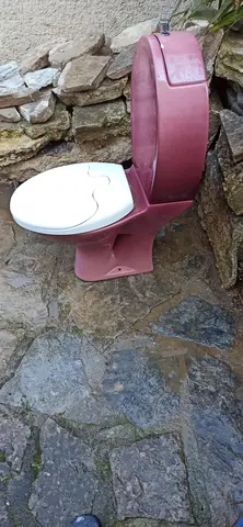 donne WC rose dans l'état