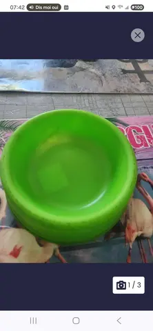 gamelle chat verte
