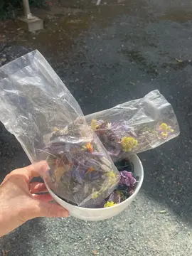 pot pourri pour décoration