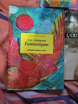 Lot de livre pour enfants