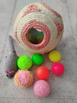 Ensemble de jeux pour chat/chien