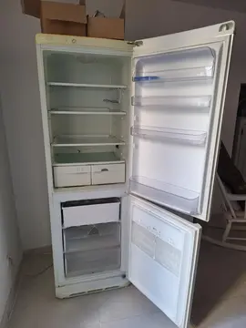 frigo