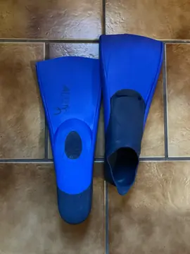 palmes tailles 36/37 (22,5 23,5cm)