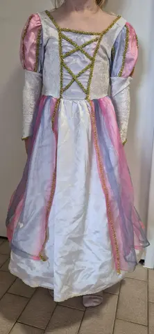 Déguisement princesse (dos usé)