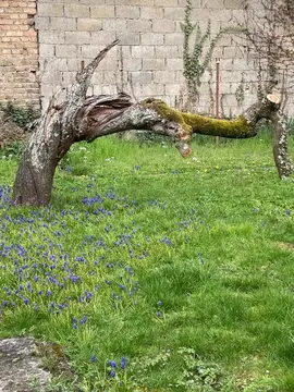 Arbre à tronçonner