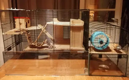 cage pour Gerbilles ou petits rongeurs