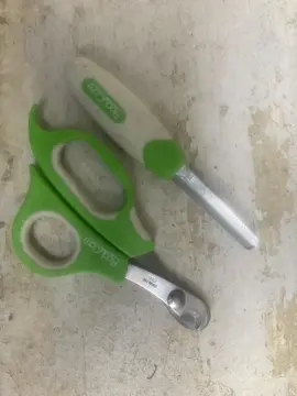 lime et couple-ongle pour rongeurs (lapin)