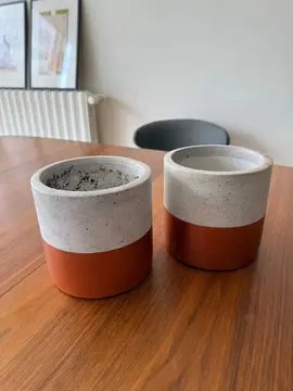 2 pots pour plantes