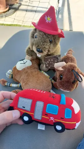 lot de peluches musicales Marmotte taureau pompier