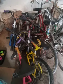 lot de vélos enfants et adultes