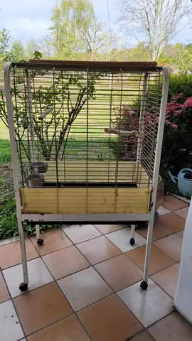 Cage pour perroquets