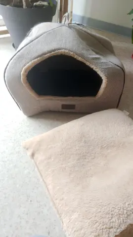 niche Cabane pour chat