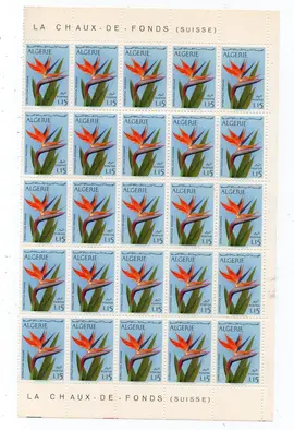 Donne timbres Algerie