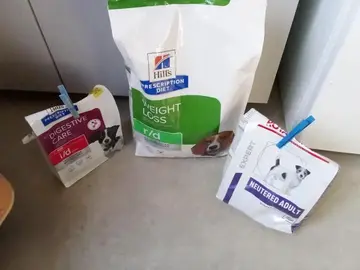 Donne croquettes chien