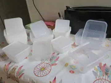 Lot de 24 barquettes en plastique avec couvercles