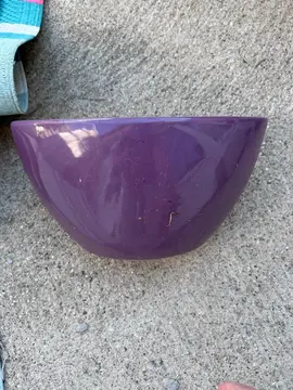 pot pour plantes forme originale