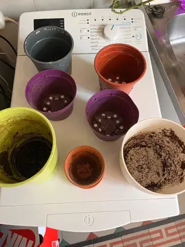 pot de fleurs pour jardinerie