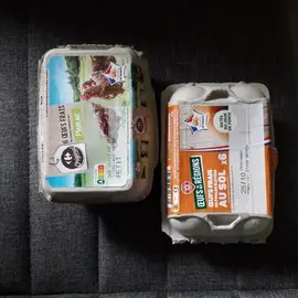 Boite à oeufs (vide)