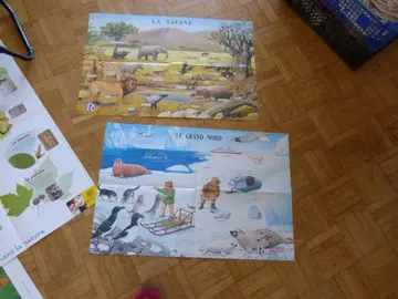 2 posters éducatifs animaux