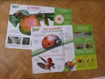 2 posters éducatifs "pomme et coccinelle"