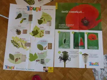 2 posters éducatifs" arbres et coquelicot"