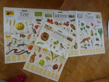 4 posters éducatifs saisons